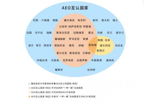前三季度衛生陶瓷出口勢頭強勁，企業出海機遇與風險管理并重